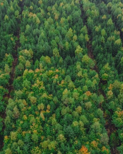 bültmann-13.10.2025-DJI_20251013142501_0010_D-Bild-56